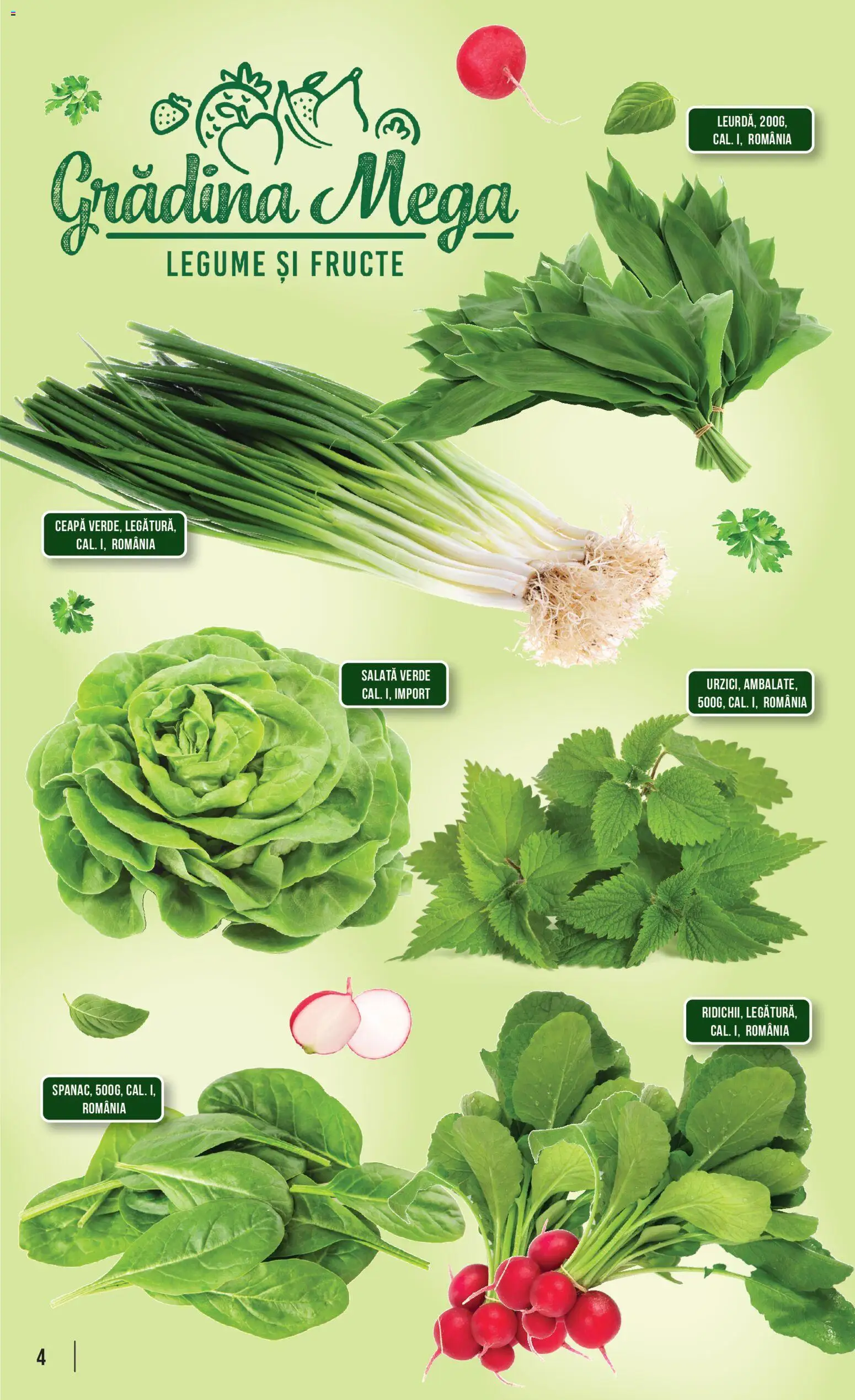 Noul catalog Mega Image – valabil de la 26.03.2026 | Pagină: 4 | Produse: Salată, Ceapă, Legume, Fructe