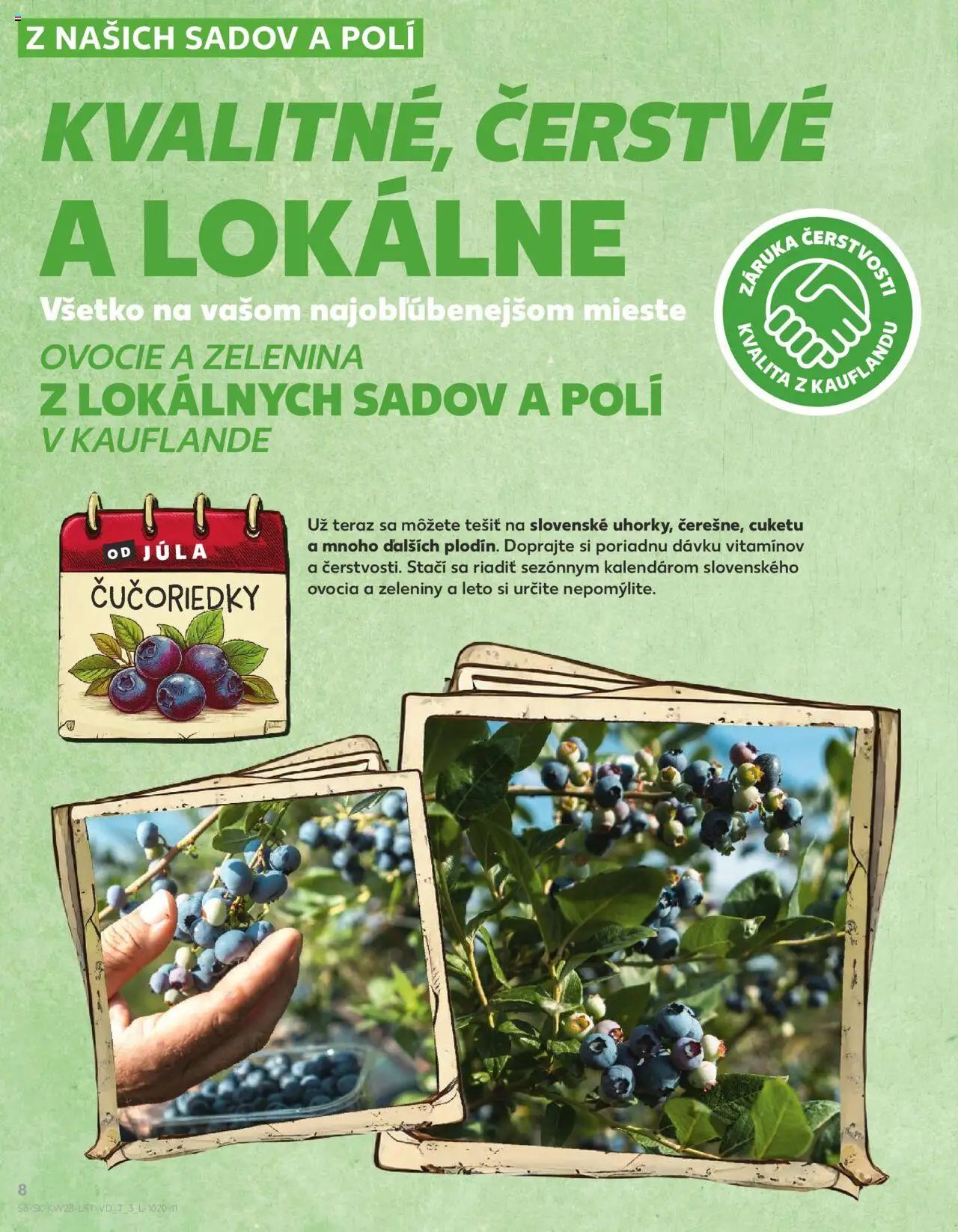 Kaufland Partizánske │ platný od 10.07.2025 | Strana: 8 | Produkty: Čučoriedky, Ovocie