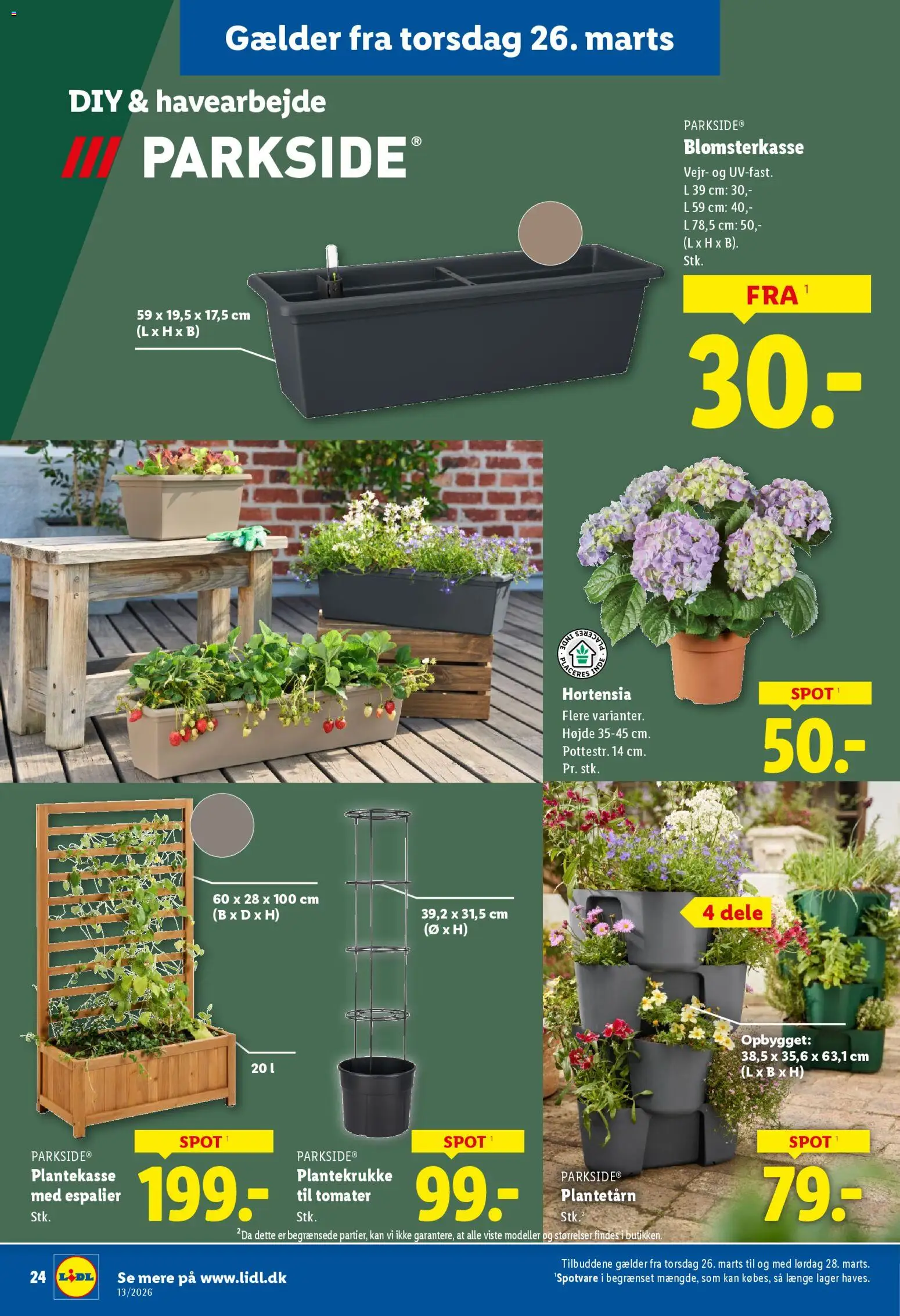 Lidl tilbudsavis – gyldig fra 26.03.2026 | Side: 7 | Produkter: Tomater, Søm