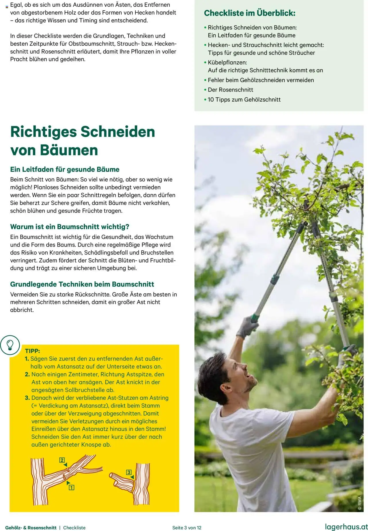 Lagerhaus Gehölzschnitt & Rosenschnitt gültig ab 20.10.2025 | Seite: 3