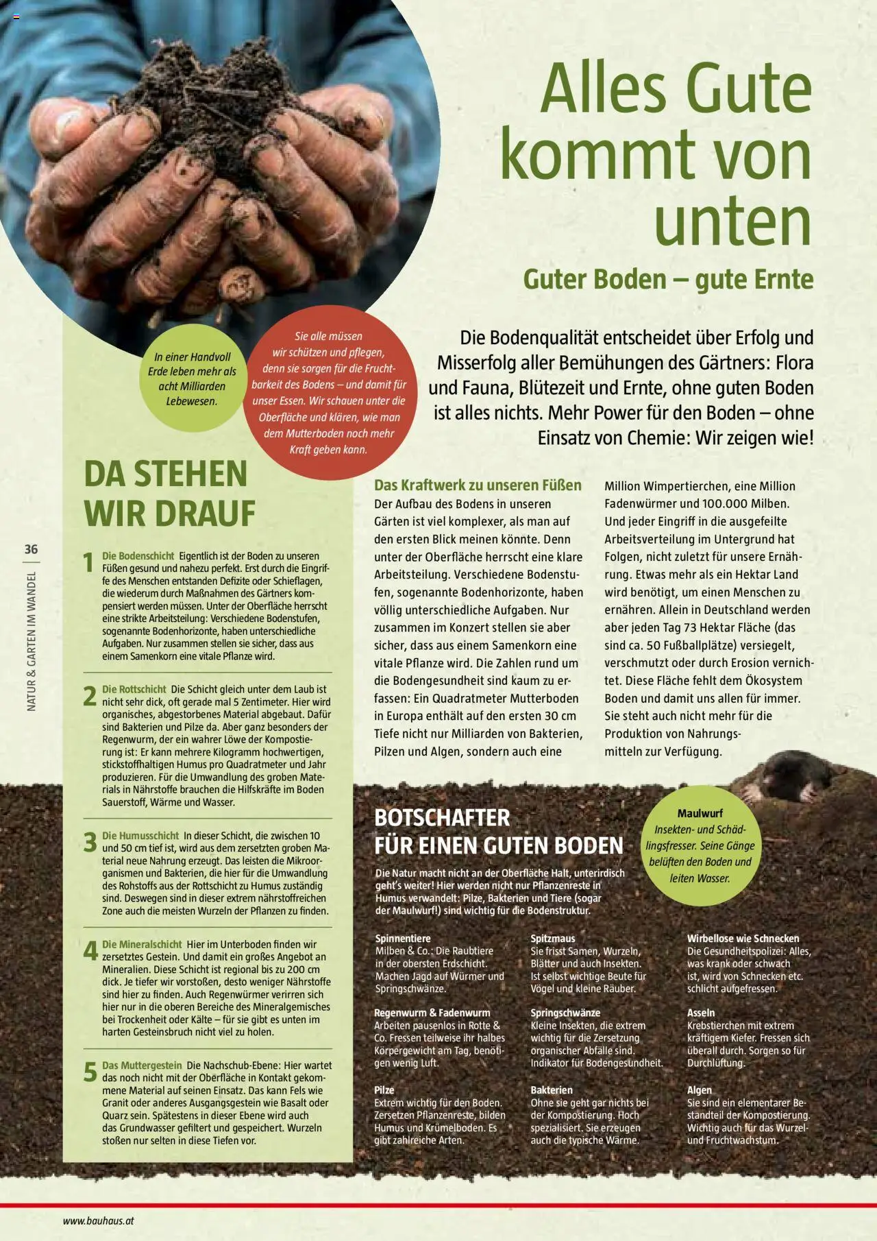 Bauhaus Reiche Ernte Magazin 2025 gültig ab 01.07.2025 | Seite: 36