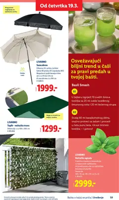LIVARNO Suncobran, Efikasna UV zaštita (zaštitni faktor 80 prema UV standardu 801) Mogućnost podešavanja visine od cca 170 do 224 cm Ø suncobrana cca 180 cm # 518823 - pregled Lidl kataloga - važi od 26.02.2026 | Strana: 59 | Proizvode: Tepih, Suncobran
