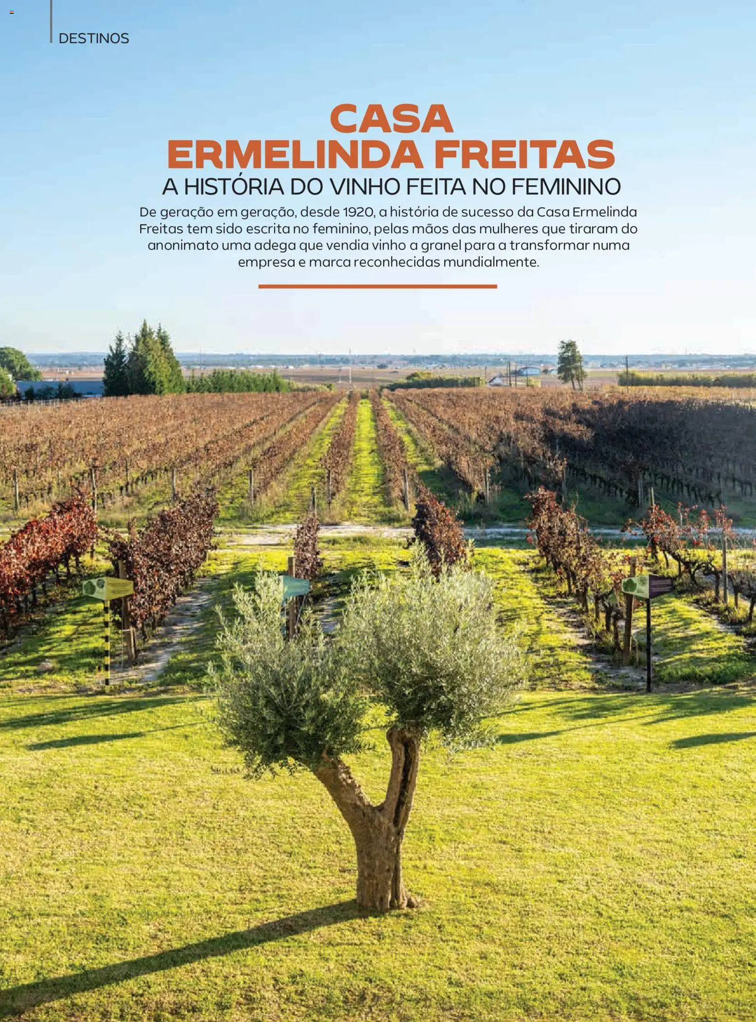 Continente - Magazine │ válido de 06.01.2026 | Página: 35 | Produtos: Vinho