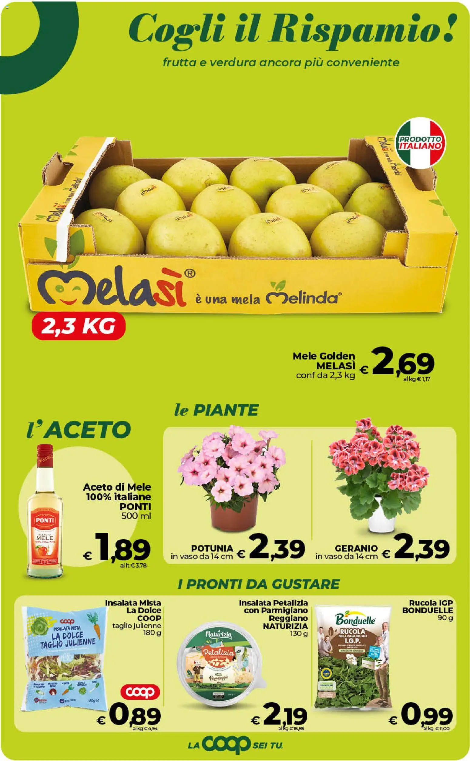 Volantino COOP del 17.04.2026 | Pagina: 14 | Prodotti: Aceto di mele, Frutta, Parmigiano, Vaso