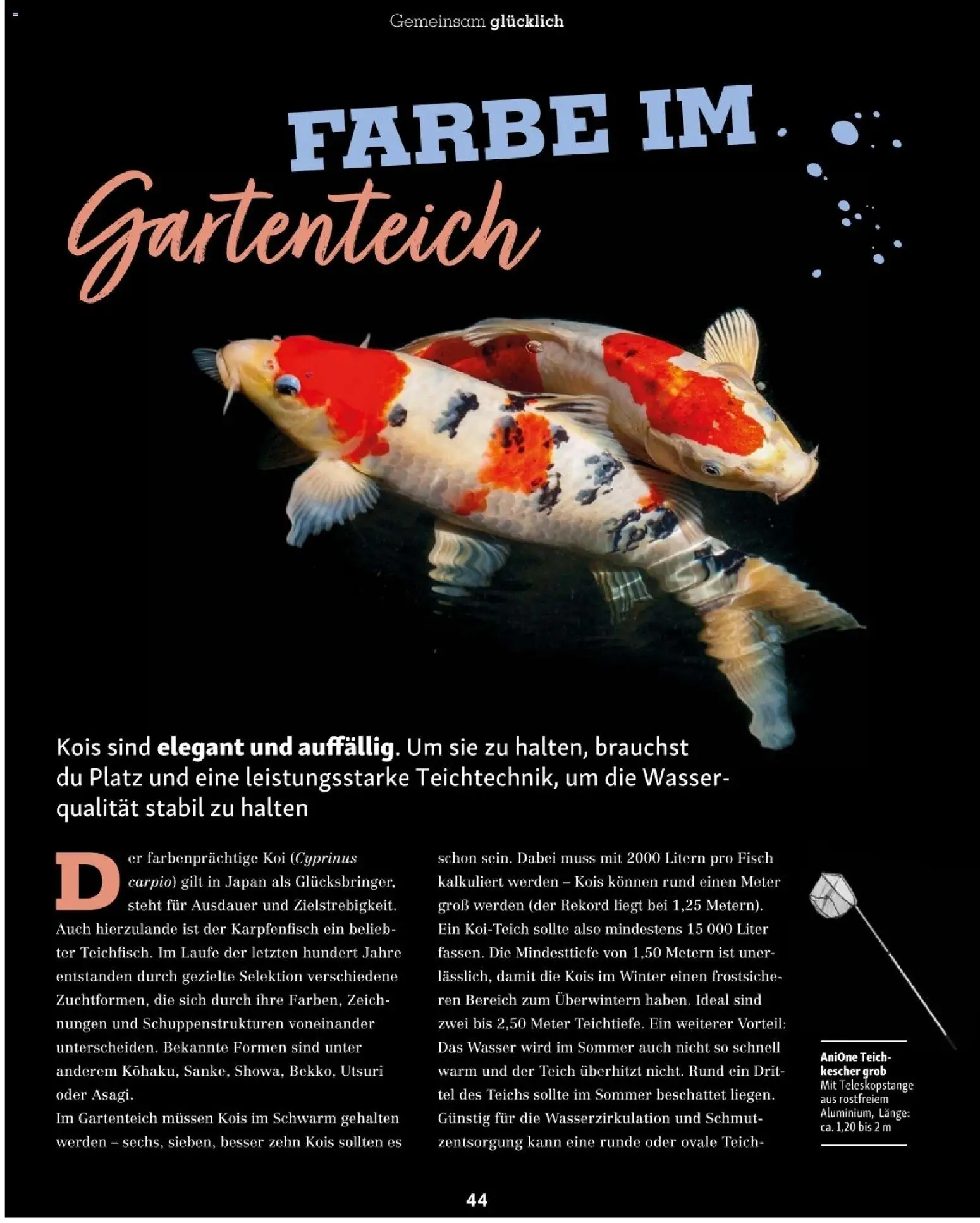 Fressnapf Friends 02/26 gültig ab 01.03.2026 | Seite: 44 | Produkte: Wasser, Fisch