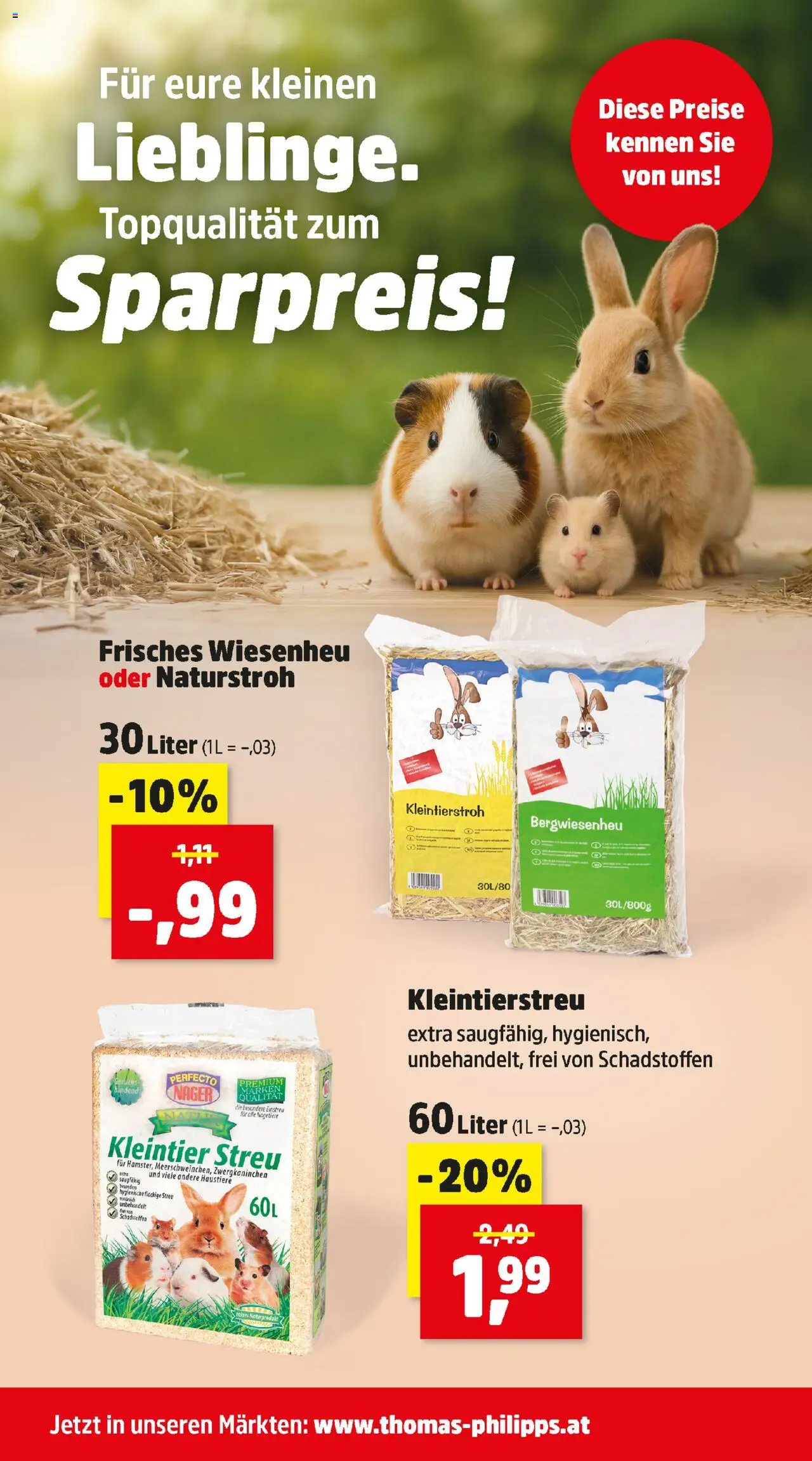 Thomas Philipps Flugblatt gültig ab 13.10.2025 | Seite: 8