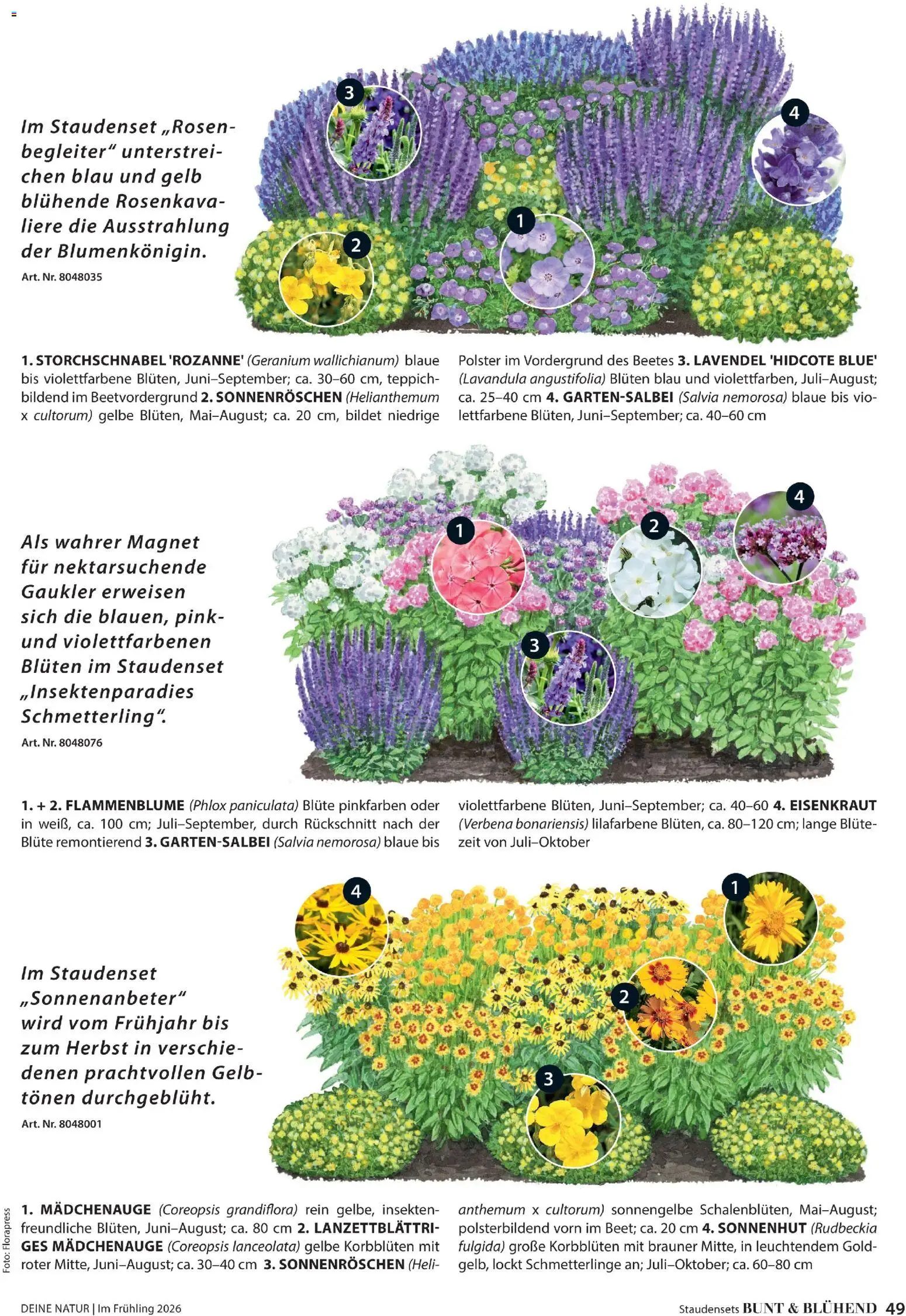 Dehner Flugblatt gültig ab 05.03.2026 | Seite: 49 | Produkte: Teppich