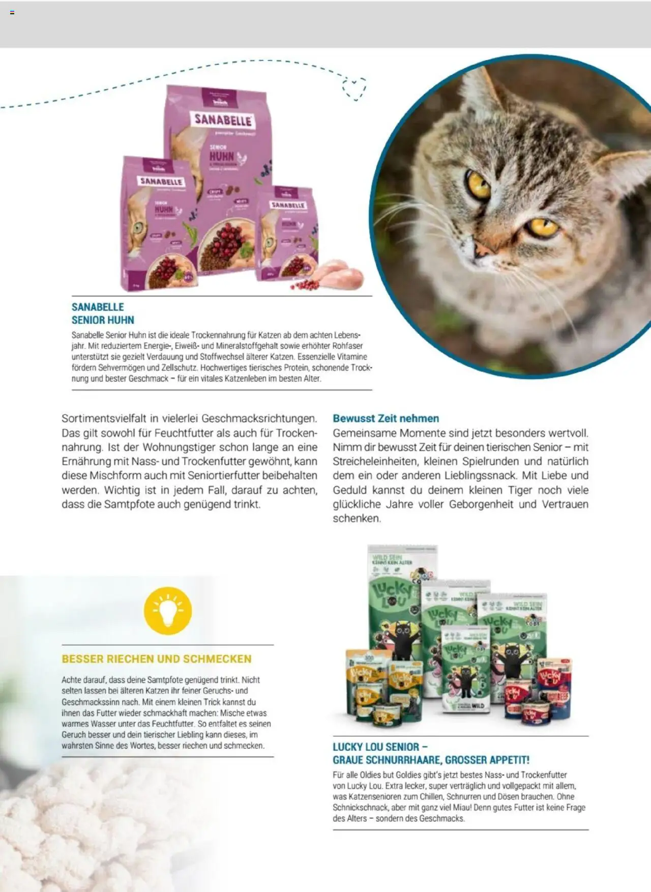 zookauf Themenkatalog Katze – gültig ab 01.10.2025 | Seite: 11 | Produkte: Wasser