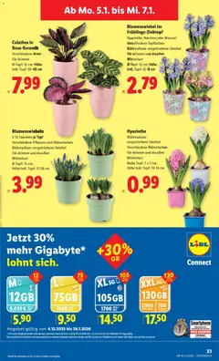 Lidl Flugblatt ab 02.01.2026 gültig | Seite: 25