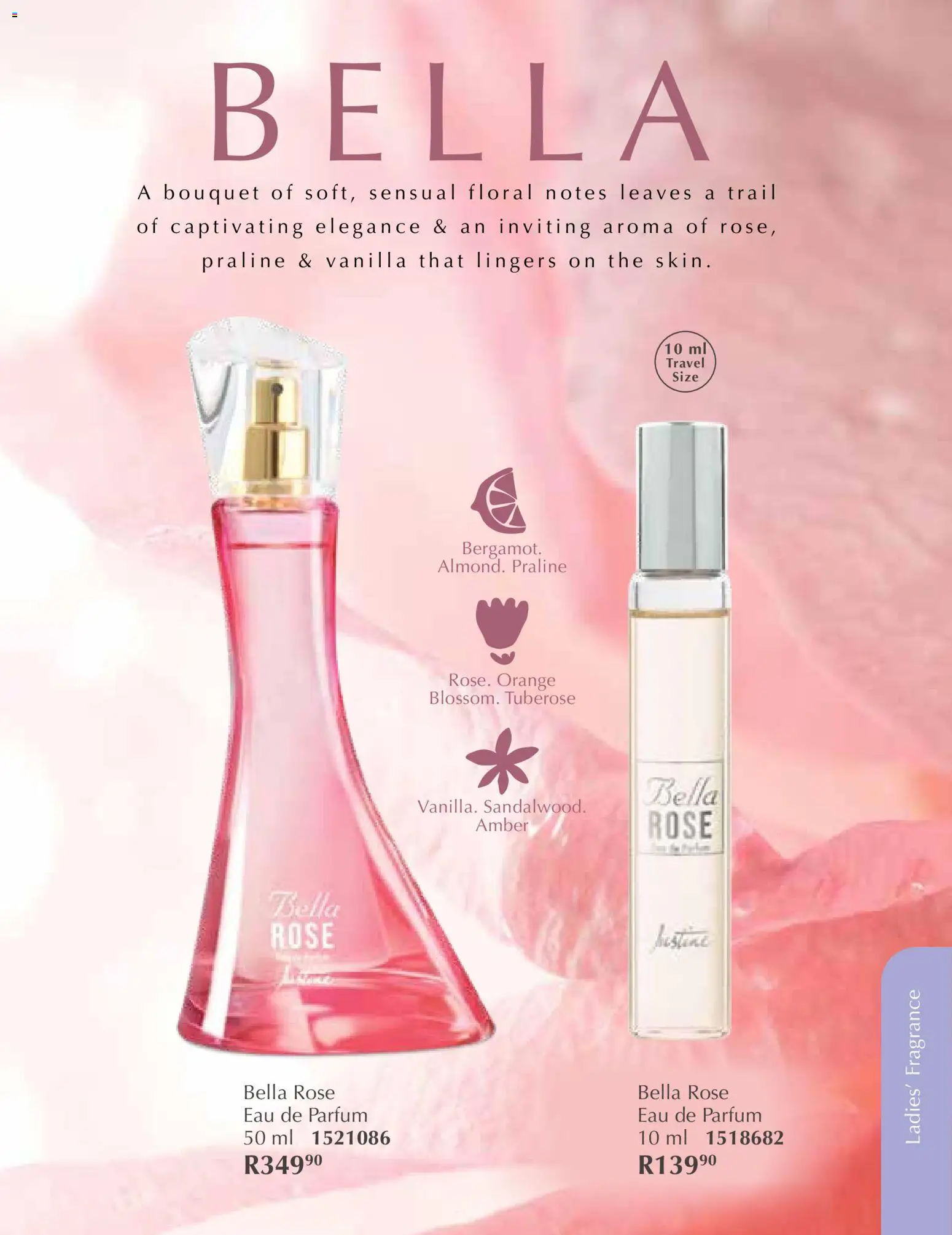 New Justine catalogue – valid from 01.12.2025 | Page: 43