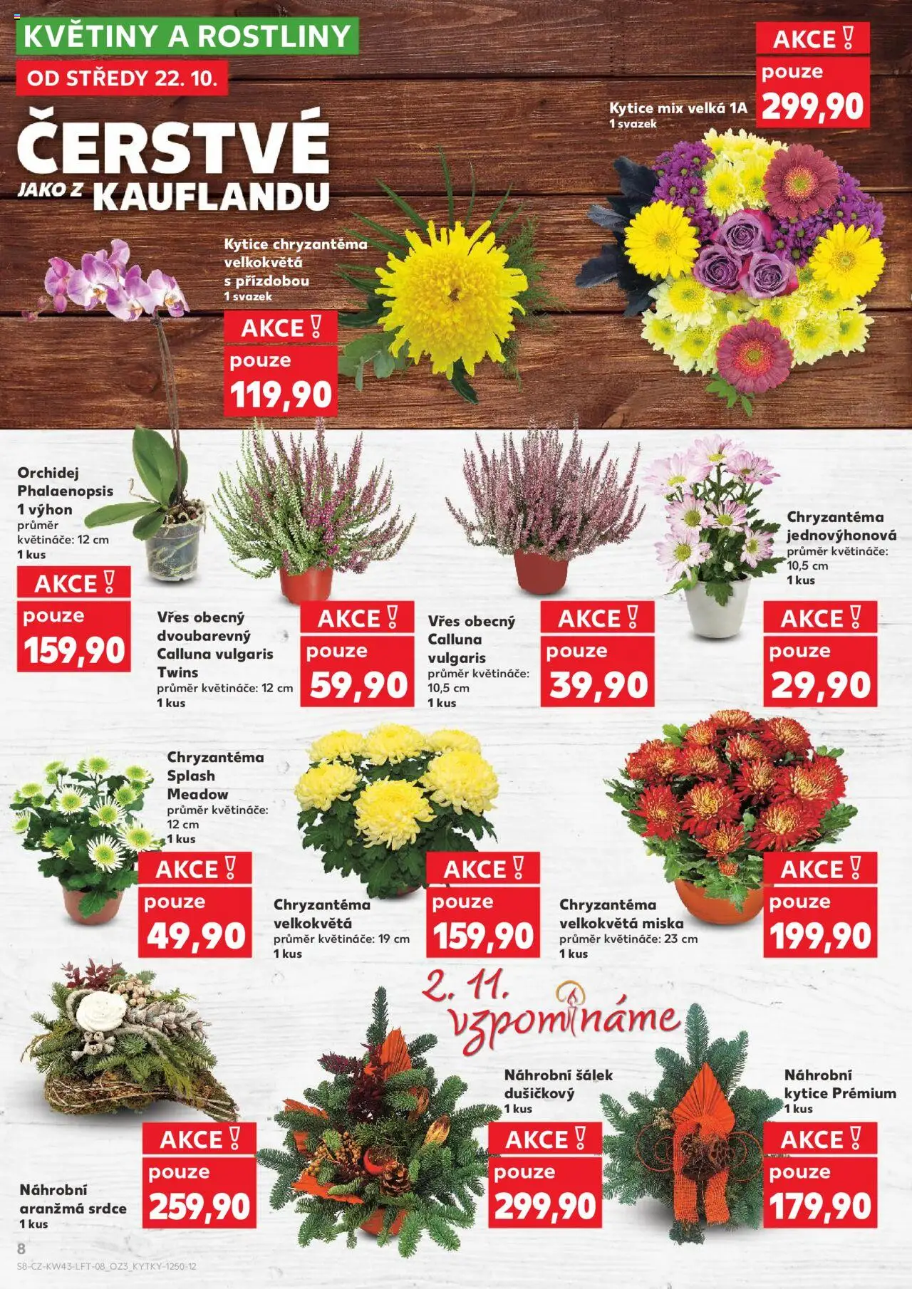 Kaufland leták - Chomutov od 22.10.2025 | Strana: 8 | Produkty: Květináče, Šálek, Rostliny, Kytice