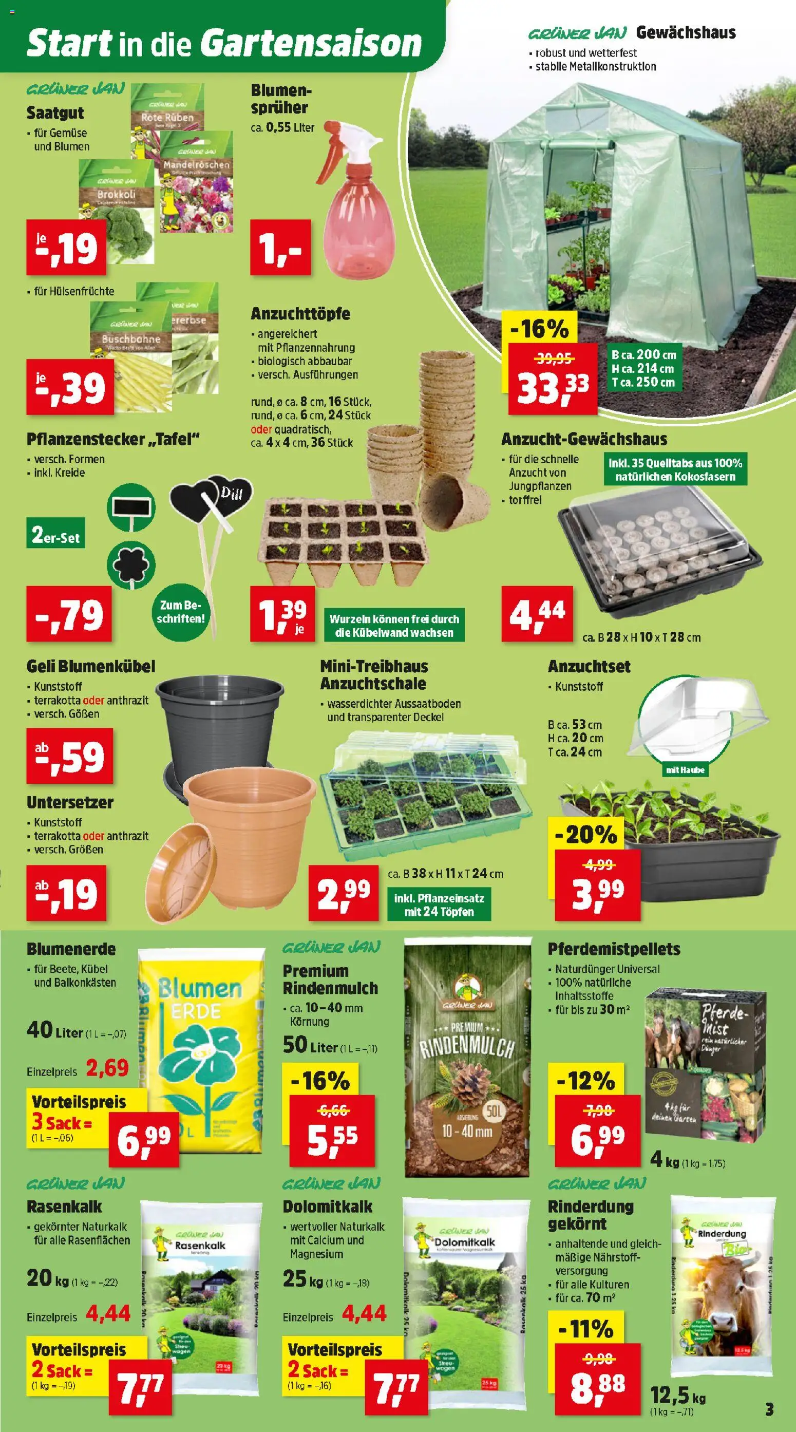 Thomas Philipps Flugblatt gültig ab 26.01.2026 | Seite: 3 | Produkte: Gemüse, Dill