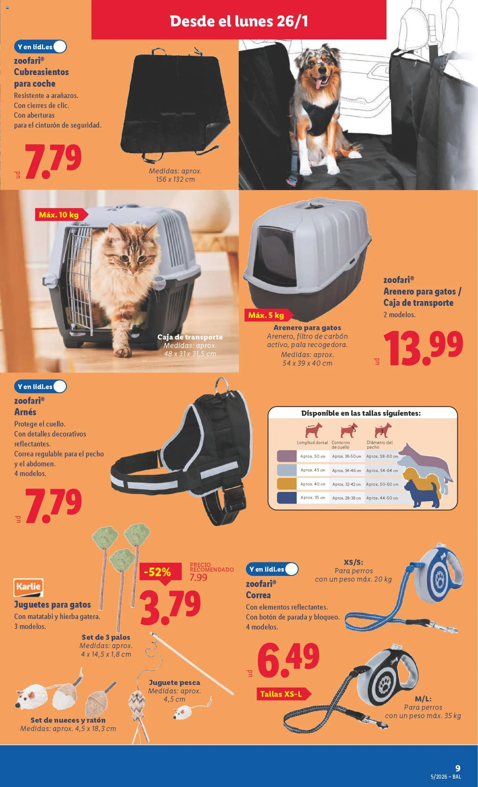 Lidl folleto de bazar │ válido desde el 26.01.2026 | Página: 11 | Productos: Cinturón, Juguetes, Peso, Caja