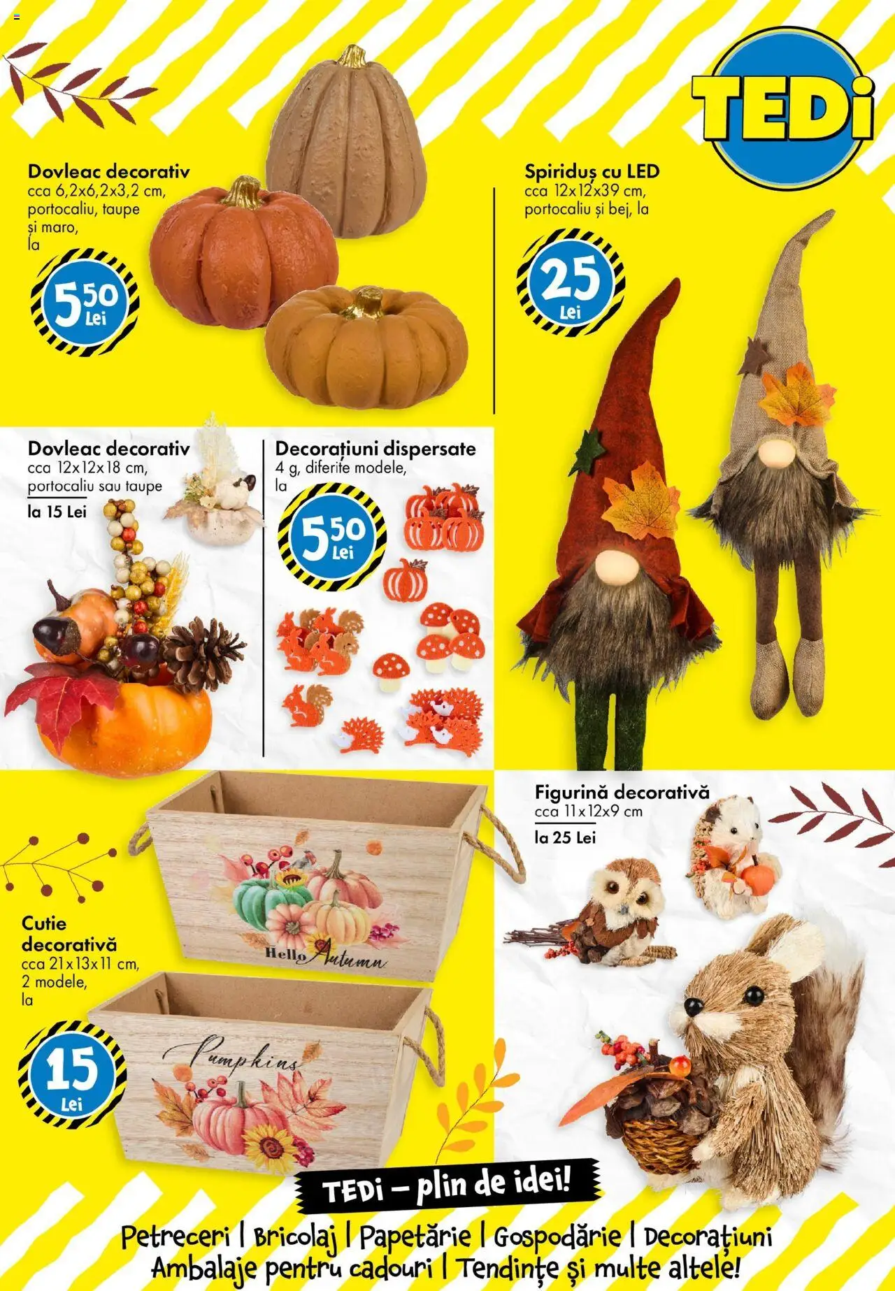 Catalog TEDi – valabil de la 08.08.2025 | Pagină: 20 | Produse: Dovleac, Babak, Cutie