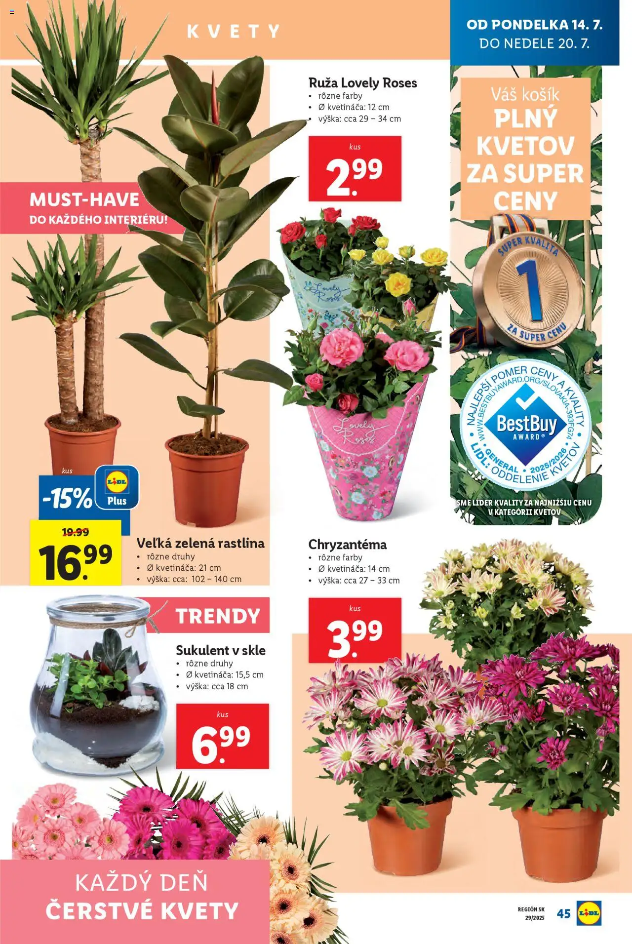 Lidl leták │ platný od 14.07.2025 | Strana: 53 | Produkty: Kvety