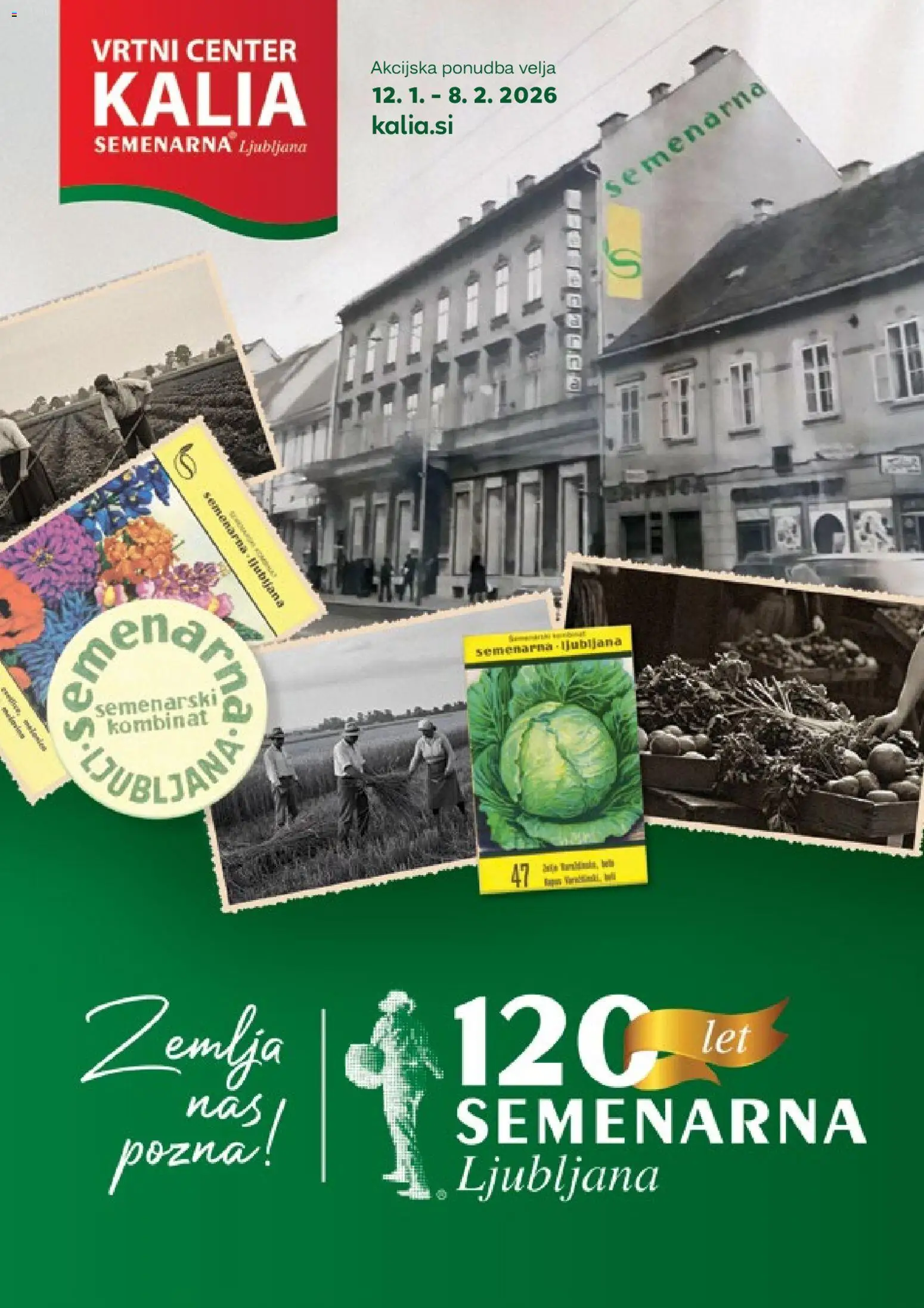 Novi Kalia katalog ponudbe – veljaven od 12.01.2026 | Stran: 1 | Izdelki: Žemlja