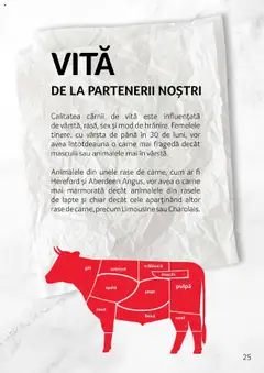 Catalog Selgros - Carne – valabil de la 27.04.2023 | Pagină: 25