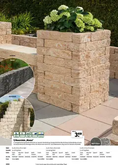 Hagebau Gartenjahr ab 13.03.2026 gültig | Seite: 282