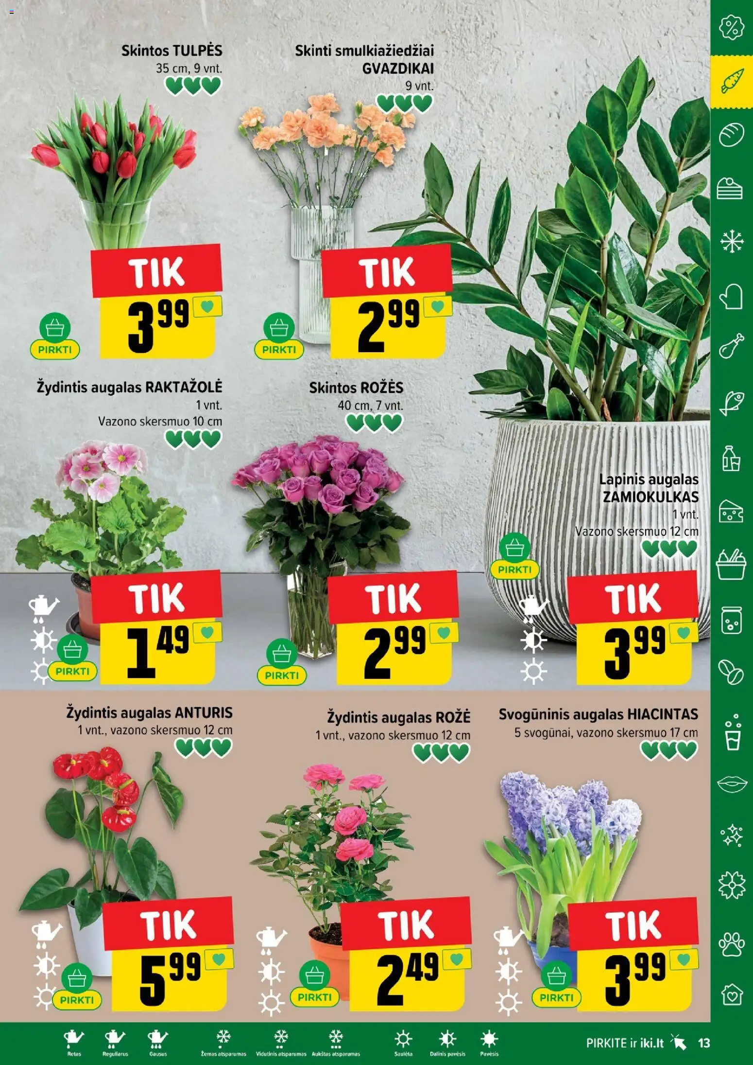 IKI akcijos nuo 19.01.2026 | Puslapis: 13