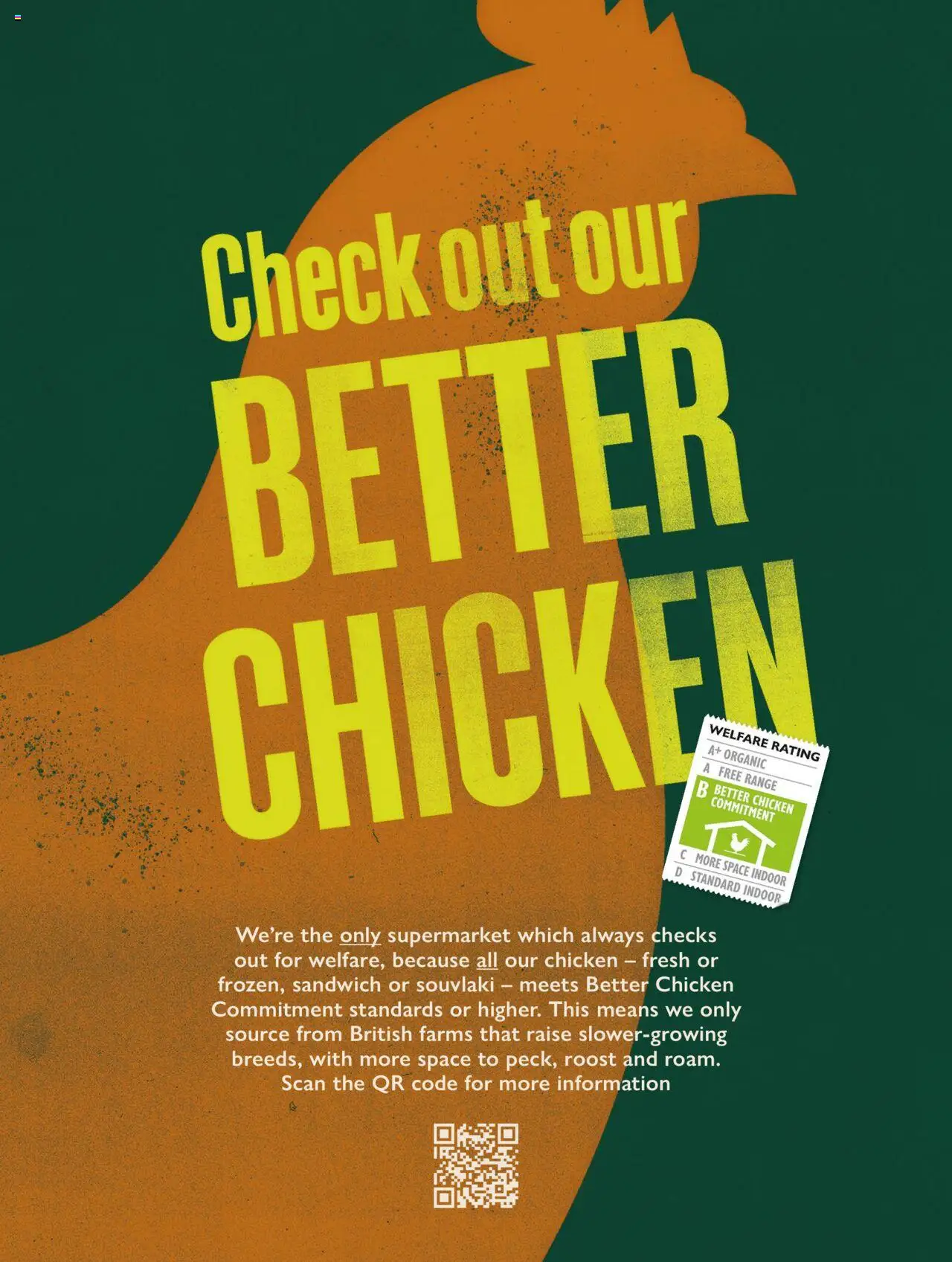  | Page: 4 | Products: Chicken