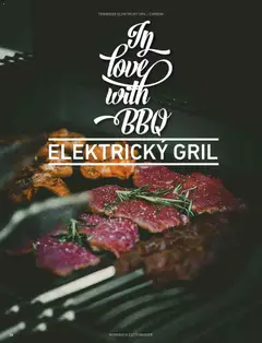 Náhled letáku HORNBACH leták - Magazín o grilování od 01.01.2026 | Strana: 26 | Produkty: Gril