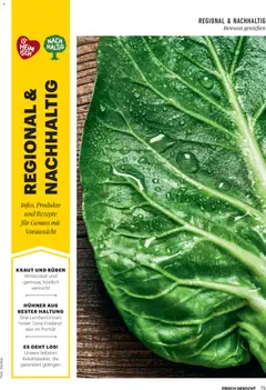 Billa  Frisch Gekocht ab 01.11.2025 gültig | Seite: 71