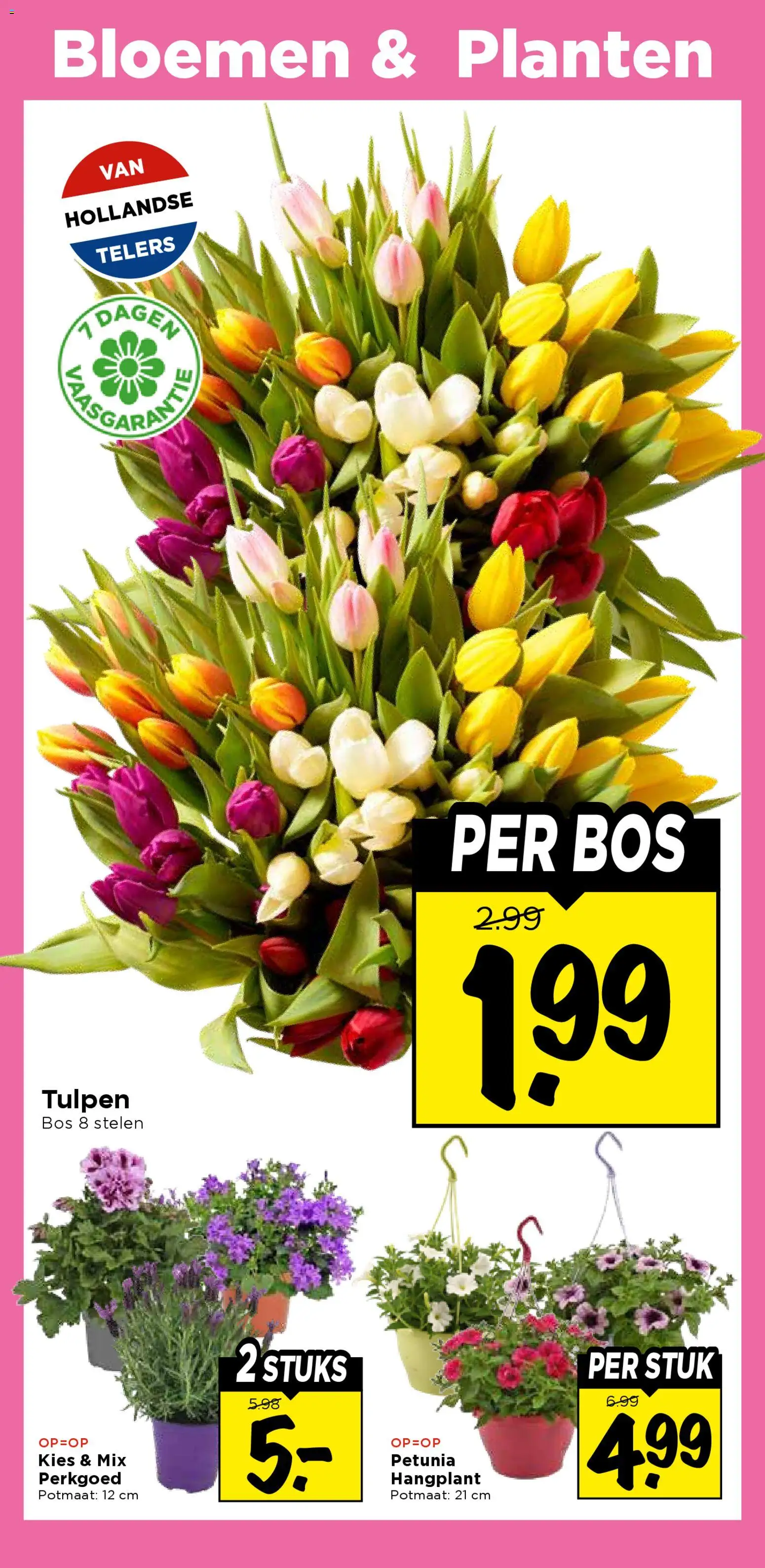 {H1} | Pagina: 34 | Producten: Bloemen