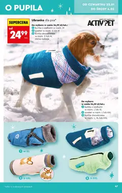 Pogląd oferty "Biedronka gazetka - Hity i inspiracje" - ważna od 17.01.2026 | Strona: 49