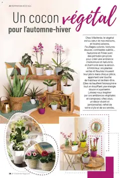 VillaVerde - Prévisualisation de VillaVerde catalogue valide à partir de 19.09.2025 | Page: 28 | Produits: Plantes, Magazine