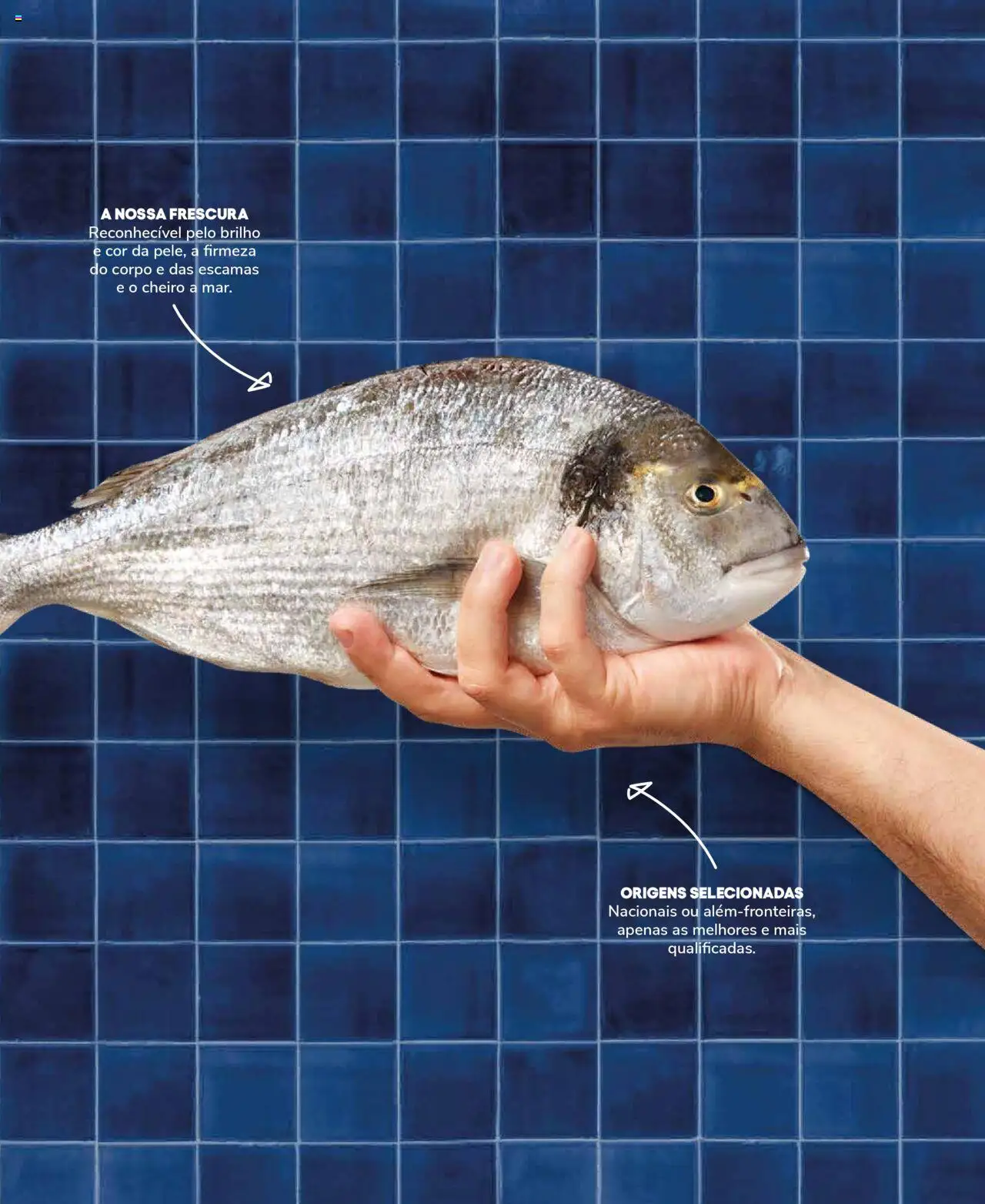 Recheio Peixaria │ válido de 19.09.2024 | Página: 7