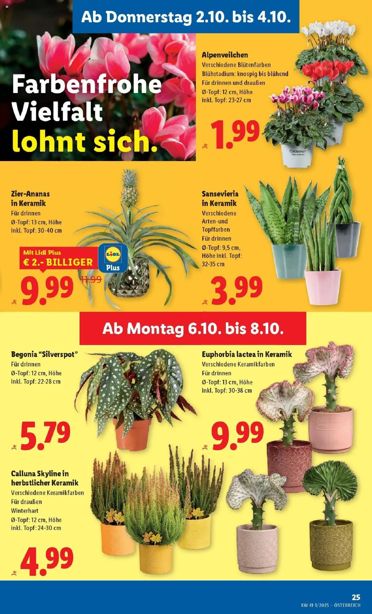 Lidl Flugblatt - Wien, Langenzersdorf, Zwettl gültig ab 02.10.2025 | Seite: 27