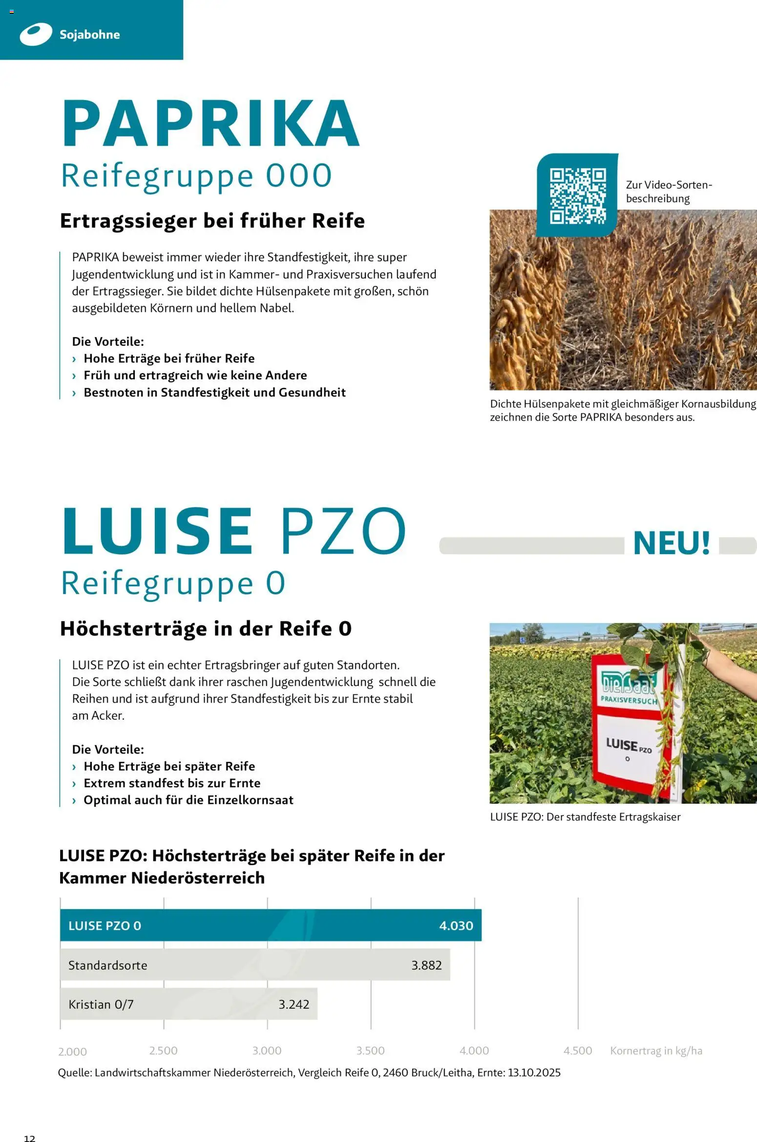 Lagerhaus - Frühjahr 2026 Östliches  Niederösterreich gültig ab 01.03.2026 | Seite: 12