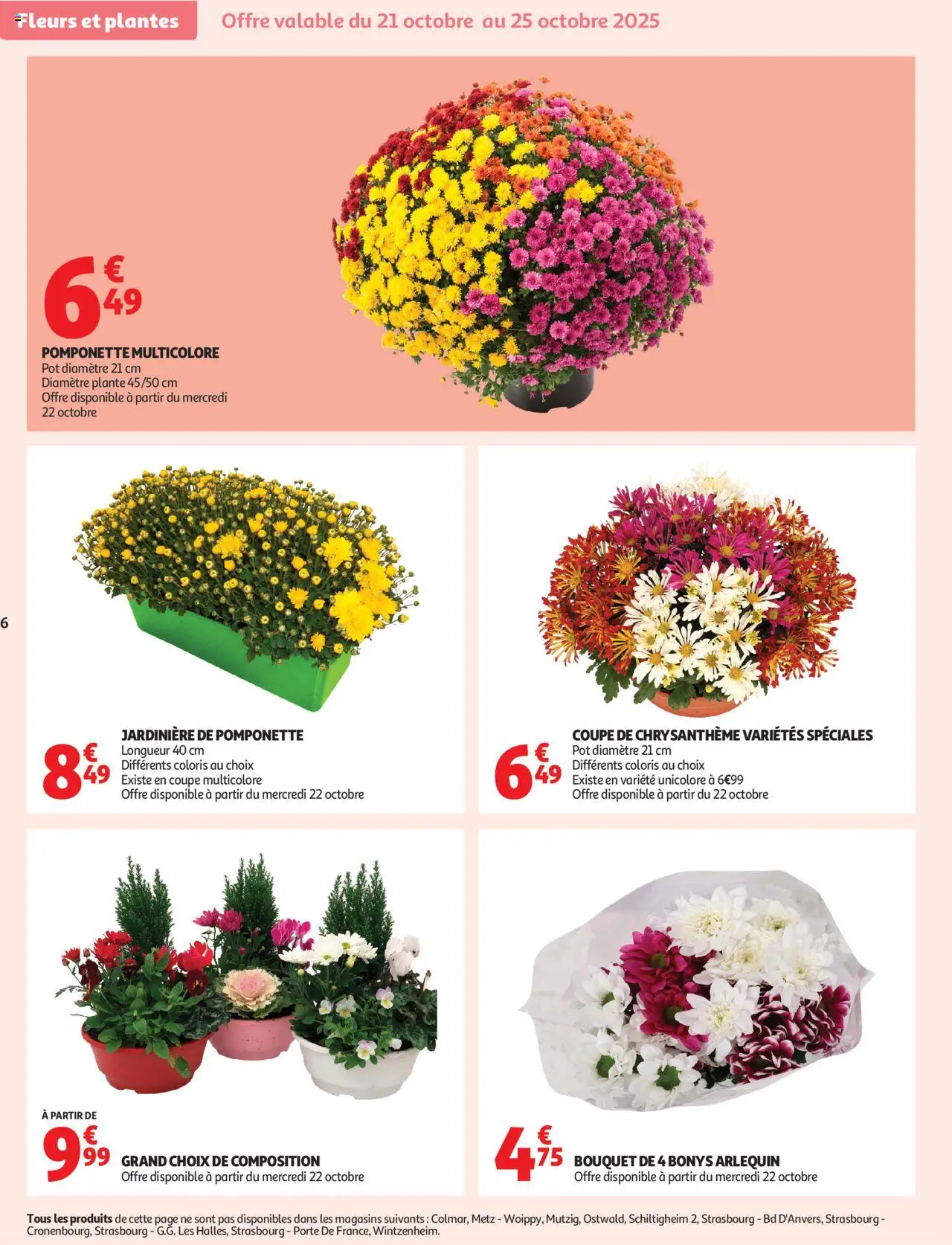 {H1} | Page: 6 | Produits: Plantes, Jardinière, Chrysanthème, Fleurs et plantes