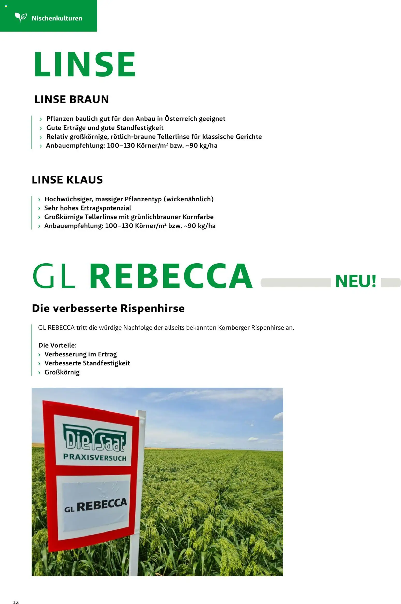 Lagerhaus - Frühjahr 2026 gültig ab 01.03.2026 | Seite: 12