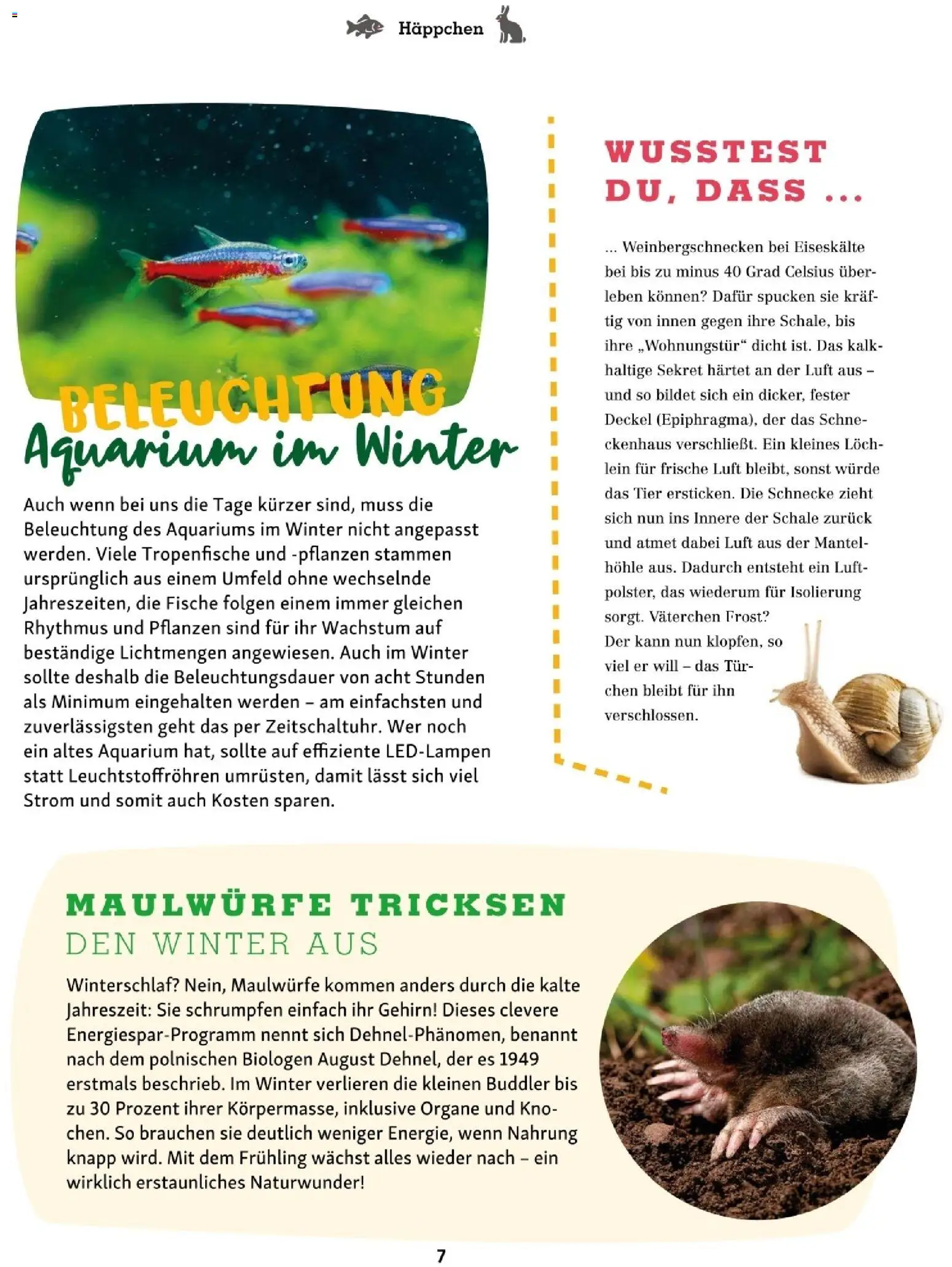 Fressnapf Friends 06/25 gültig ab 01.11.2025 | Seite: 7 | Produkte: Mantel