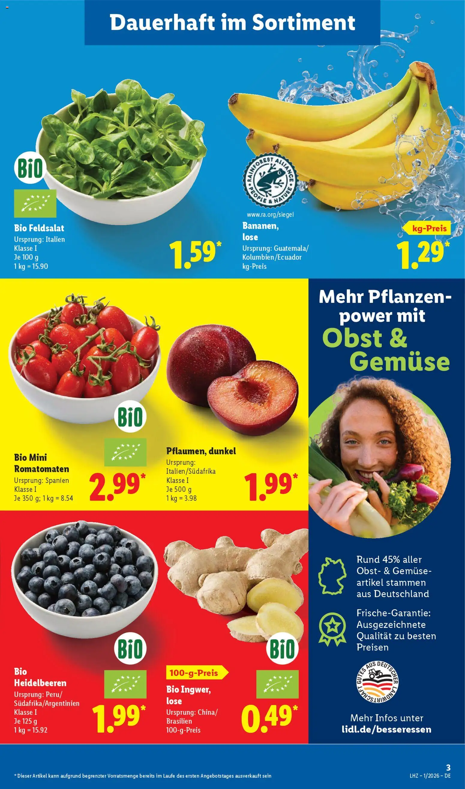 Lidl Prospekt Bestwig – gültig ab 29.12.2025 | Seite: 5 | Produkte: Heidelbeeren, Gemüse, Obst
