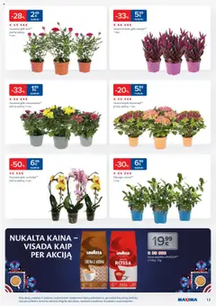 MAXIMA - Leidinys │galioja nuo 22.07.2025 | Puslapis: 13 | Prekių: Pupelės, Kavos pupelės