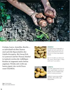 Sutterlüty B’sundrig Magazine ab 17.11.2025 gültig | Seite: 36 | Produkte: Ofen