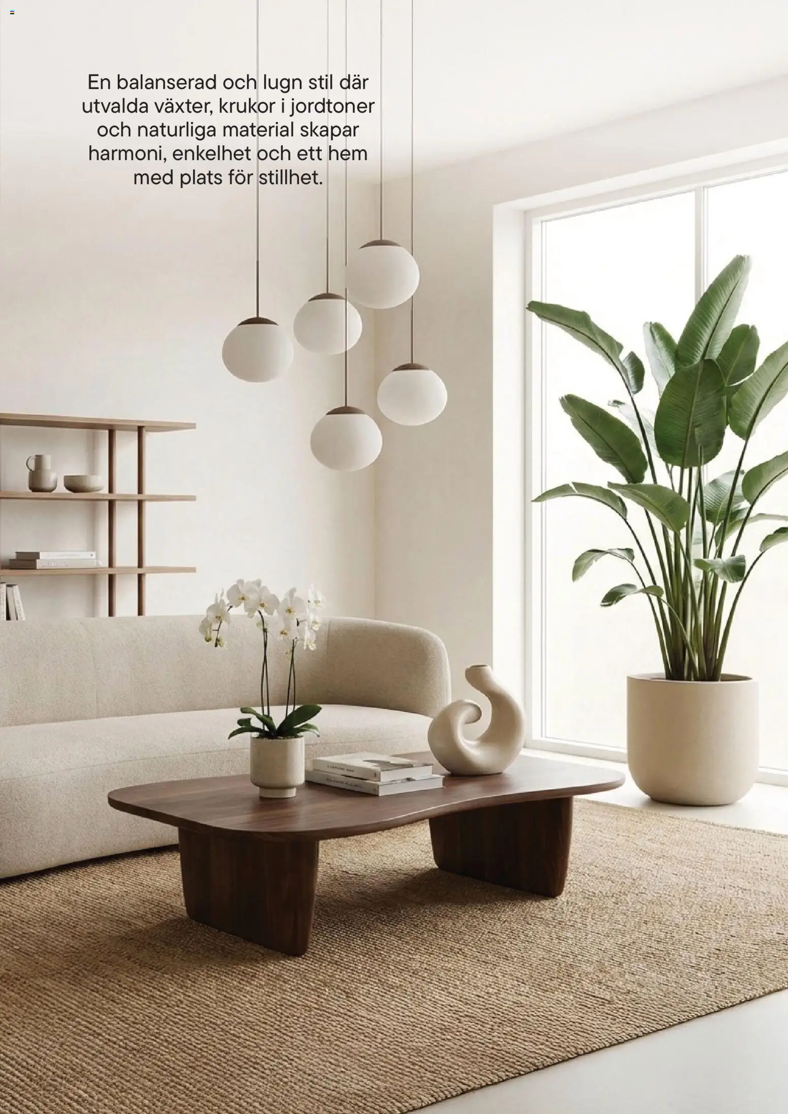 Plantagen reklamblad aktuell från 13.01.2026 | Sida: 17