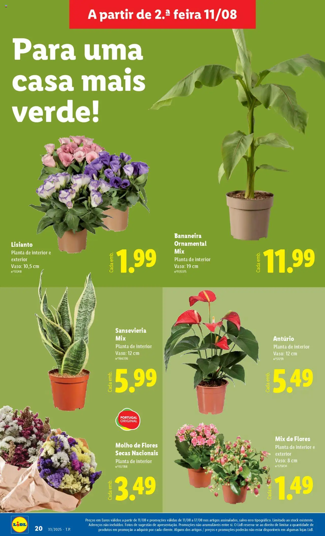 Lidl Novidades │ válido de 11.08.2025 | Página: 20 | Produtos: Flores, Vaso