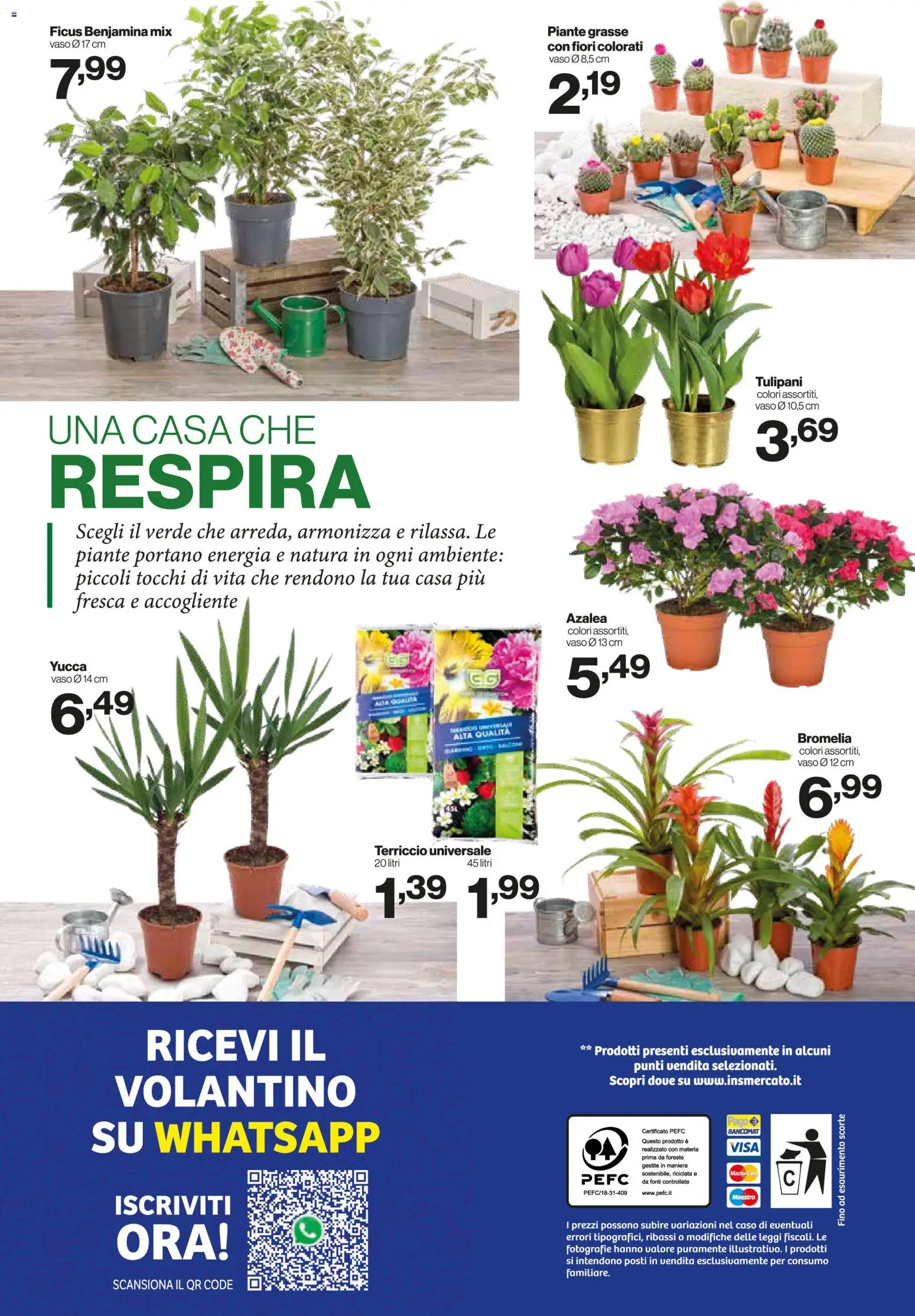 Volantino IN's del 25.02.2026 | Pagina: 24 | Prodotti: Terriccio, Vaso