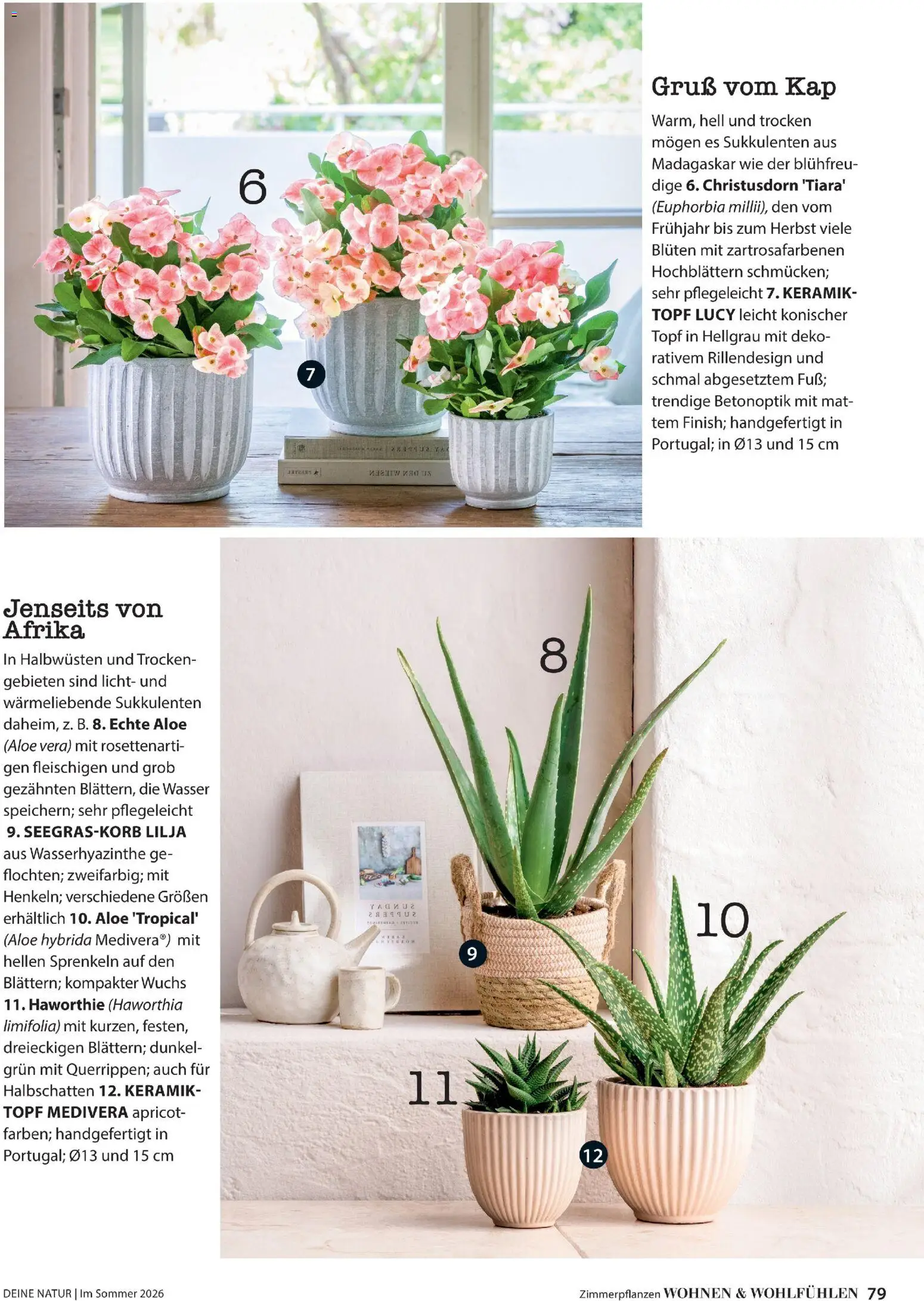 Dehner Prospekt 	 – gültig ab 17.04.2026 | Seite: 79 | Produkte: Wasser