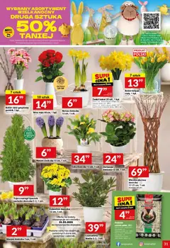 Pogląd oferty "Twój Market gazetka" - ważna od 25.03.2026 | Strona: 31 | Produkty: Doniczka, Kalanchoe, Kwiaty