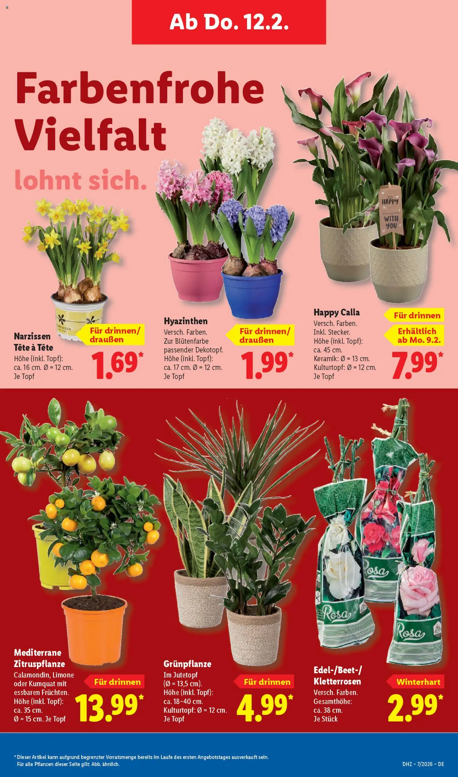 Lidl Prospekt Bernsdorf – gültig ab 09.02.2026 | Seite: 13
