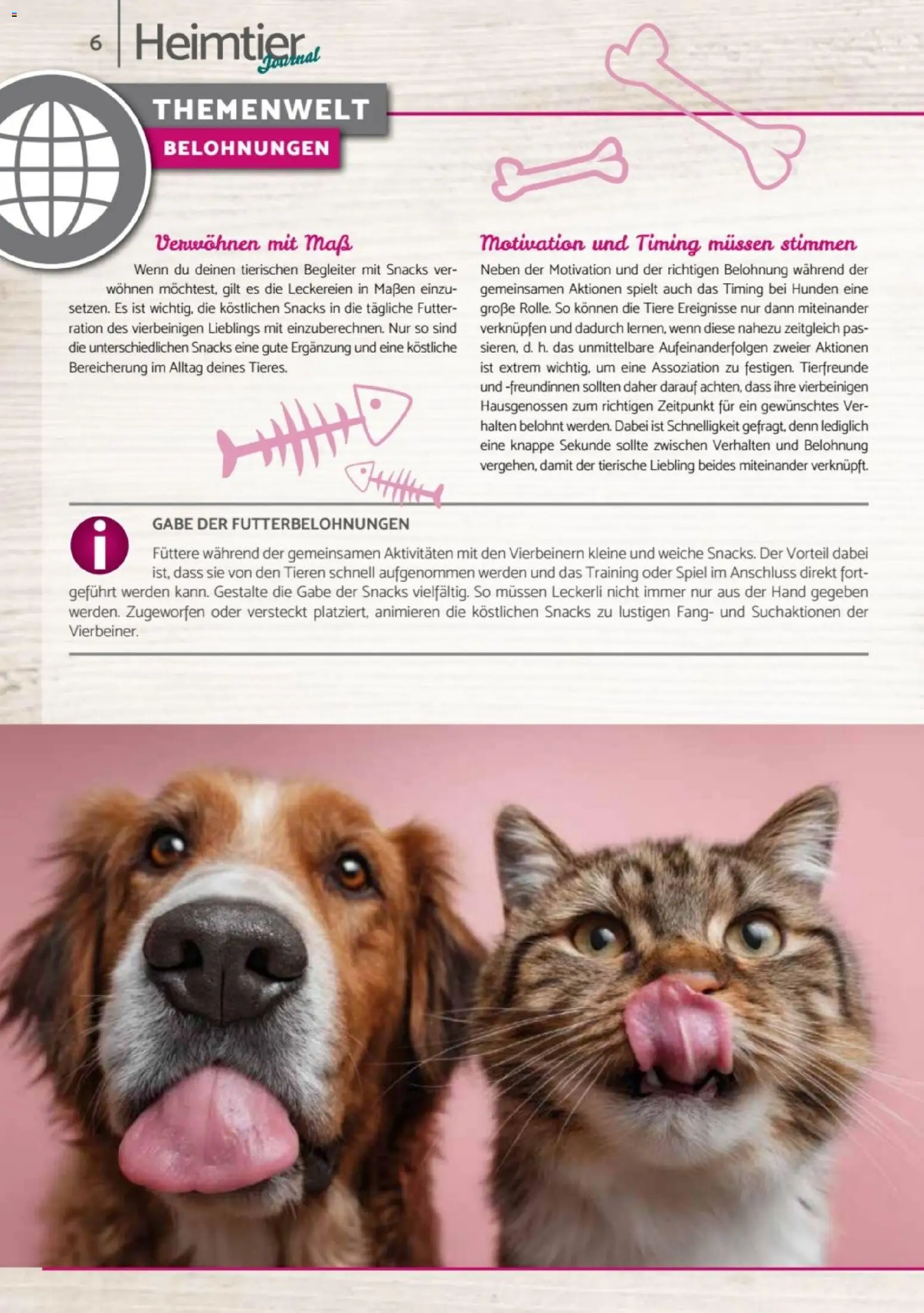 zookauf - Heimtier Journal – gültig ab 01.12.2025 | Seite: 6 | Produkte: Spiel