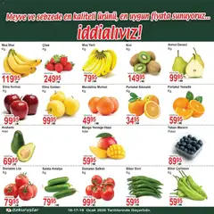 16.01.2026 tarihinden itibaren geçerli olan Özkuruşlar kataloğu önizlemesi