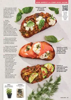 Ofertele Mega Image valabile de la 26.02.2026 | Pagină: 21 | Produse: Vânătă, Ouă, Ceapă, Sare