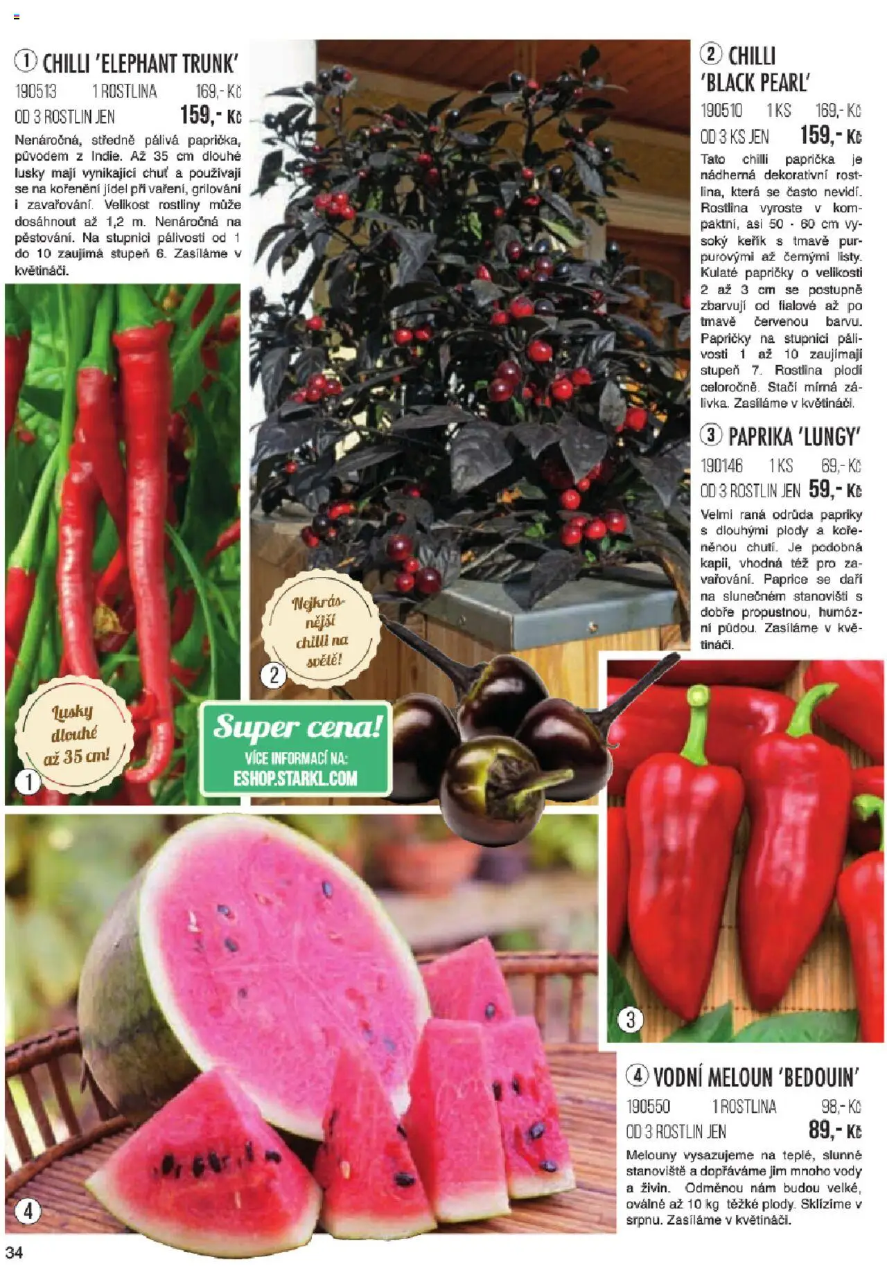 Starkl katalog jaro 2024 od 06.01.2025 | Strana: 34 | Produkty: Meloun, Melouny, Paprika, Rostliny