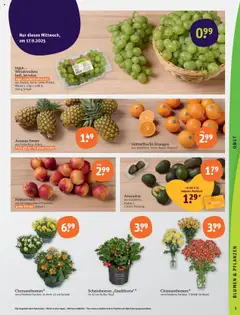 Tegut Prospekt – gültig ab 15.09.2025 | Seite: 5 | Produkte: Nektarinen, Blumen, Orangen, Weintrauben