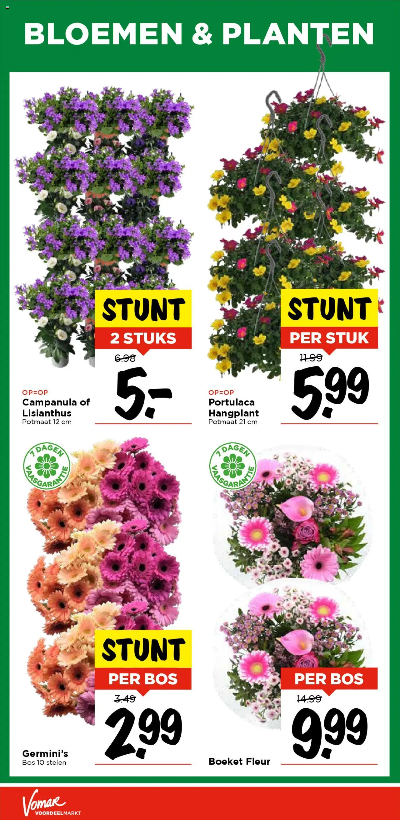  | Pagina: 34 | Producten: Bloemen